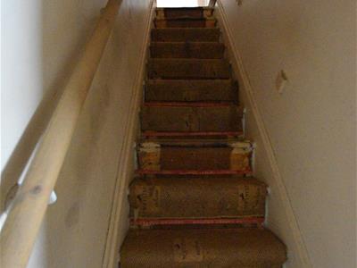 Picture 11